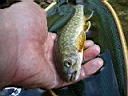 2007-05-22 055.JPG